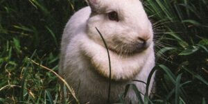 f8953d1f015d16cbbfe07fb8bb22d739