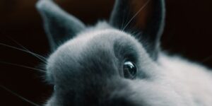 Photo 1584545871373 9C7Df5B5E5Fb