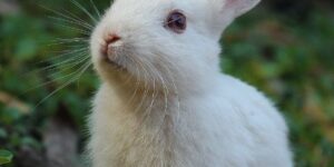 Photo 1585110396000 C9Ffd4E4B308